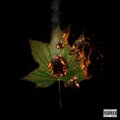 Riesco a capirti (feat. Ayden Lau) [Explicit]