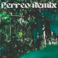 dj Tik Toker - Suave Perreo