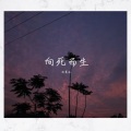 沈菁冰 - 夏天的风