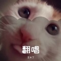 王水丁 - 胡广生