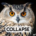 MEX - Collapse