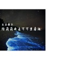 流浪歌手 - 春夏秋冬的你