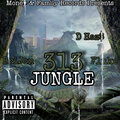 D Haz$、BriJon、fluke - 313 Jungle (Explicit)