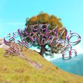 Giuliano - lemon trees