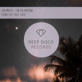 Chunkee、Paul Lock - I'm So Wrong (feat. Paul Lock)(PaulLockRemix)