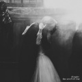 丁可 - The Perfect Day