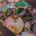 Jonathan Carlile - Falling Stinger