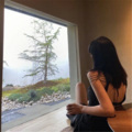 蛋炒饭 - lostBGM
