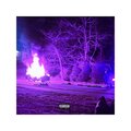 DFA - FETCH