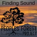 Bryan Jae and the PFP - Run Wild 1.3