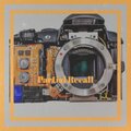 Sergei Shell - Intro 01