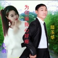 陆玉华 - 为何骗我心好疼