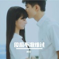 阿宇 - 傻瓜不准难过