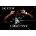 Big Knox、SHAYLA - Dreaming (Explicit)
