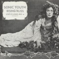 Sonic Youth - Brother James (Live)