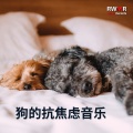 RW 冷静的时间 - 狗的爪子
