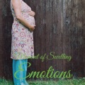Jason Farnham - Moment of Swelling Emotions