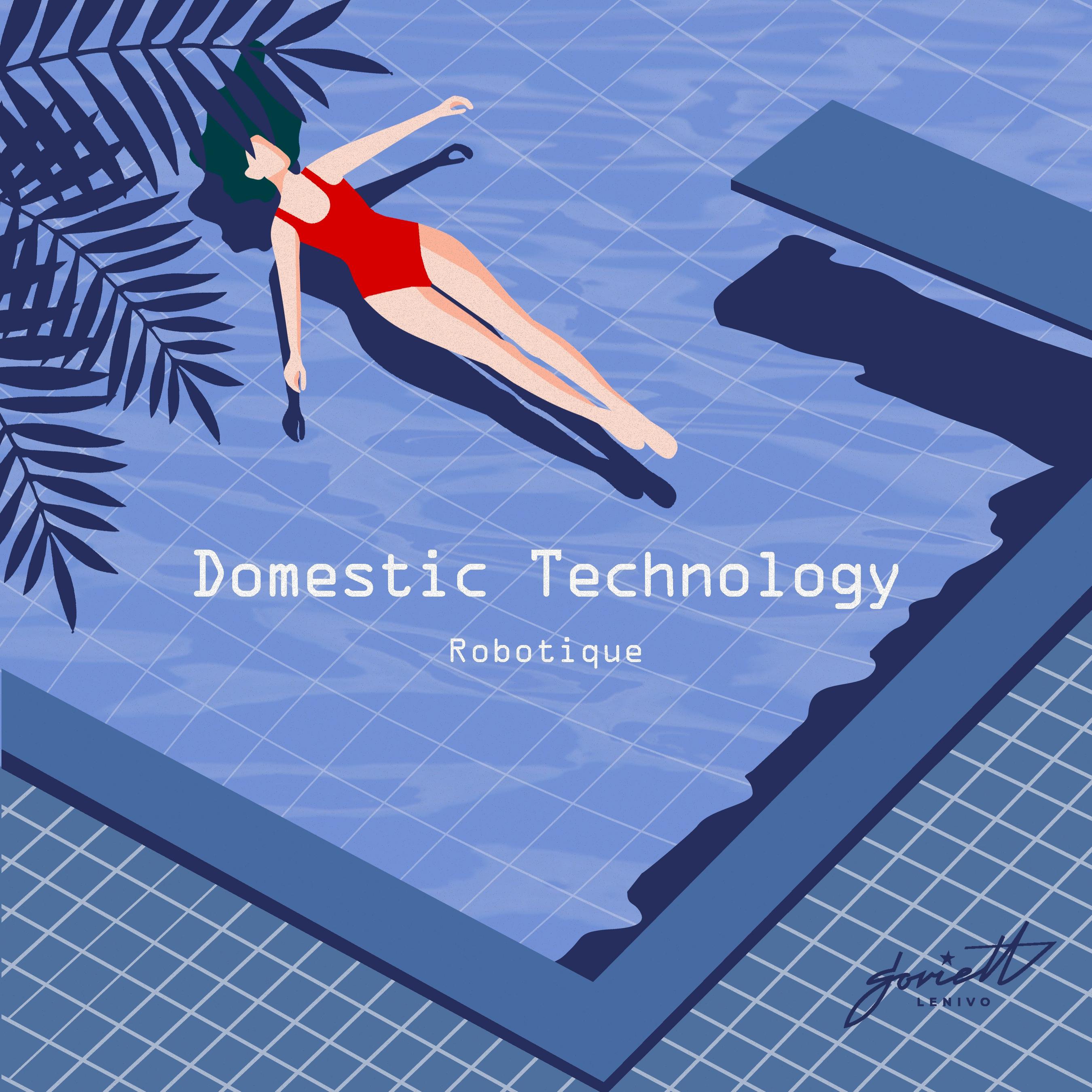 Domestic Technology - Sure Not Sure