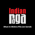 Indianraga、Souryadeep Bhattacharyya、Aditya Srivatsan、IndianRaga Fellows、Impromptu - Dhun in Mishra Pilu - Mishra Pilu - Teen taal (on Sarod)