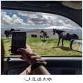人总是贪心不足