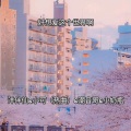 洋伴仙、小可(热曲)、潮音哥、小奶瓶 - 私房舞曲气氛车载音乐
