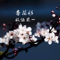 玖伍贰一 - 杏花衫