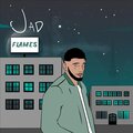 FLAMES (Explicit)