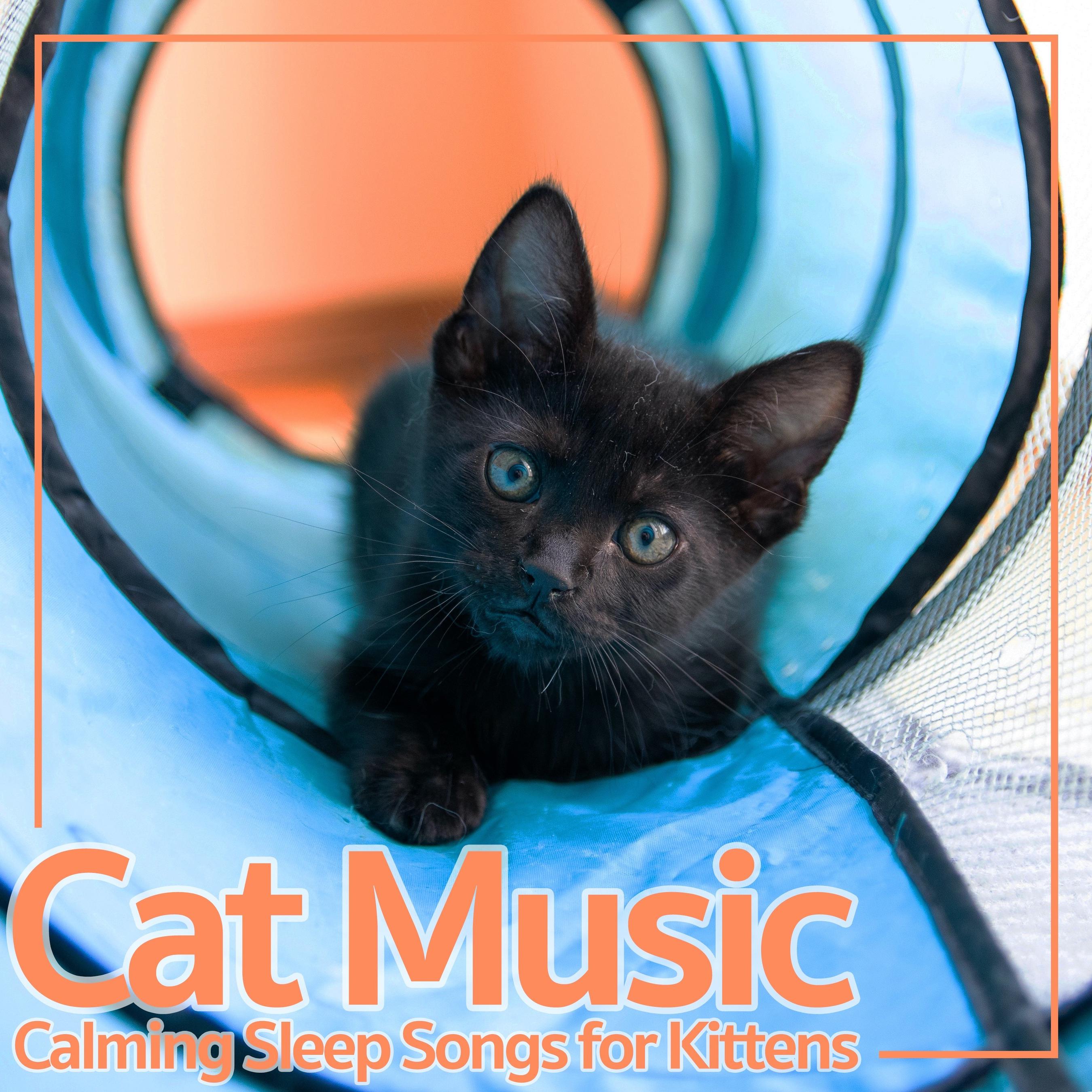 Cat Music、Cat Music Dreams、Cat Music Therapy - Path to Happiness