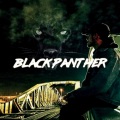 ISSEI - Black Panther