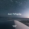 Sam Pellegrino - Where We Are