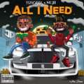 All I Need (Explicit)