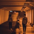 清晨大攀 - 杀死那个石家庄人 (吉他纯净版)