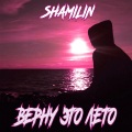 Shamilin - Верну это лето