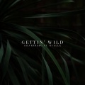 Gettin' Wild (feat. Ruelle)