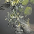 Wild Honey (Explicit)