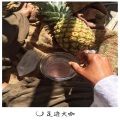 法迪 - Aloha Heja He