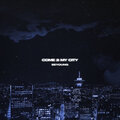 SE YOUNG - Come 2 My City (Explicit)