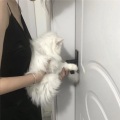 阮6 - 卡斯拉 (OriginalMix)