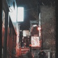 Disposable Impressions、Bruu. - Simple (feat. Bruu. & Fredo)
