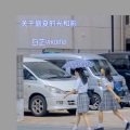白芷yikoma - 关于盛夏的光和影