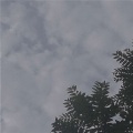 煜靳 - 乘风破浪向你飘