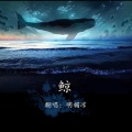 明媚凉 - 鲸