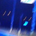 Asco - Dream (Explicit)