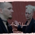 Are You Sorry