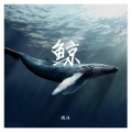 槐语 - 鲸 成品