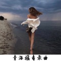李二色、7郎君 - 队形给我排好 (青海摇)