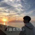 汪七岁 - 爱就一个字 (温柔男版)
