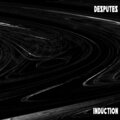 Desputes - Induction