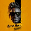 Anthony Puig、Damian The Lion、Birbo Music、Angel El White - Fiesta Latina (feat. Damian The Lion, Angel El White & Anthony Puig)