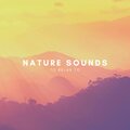 Nature Sounds To Relax To